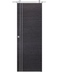 Avanti 2V Black Apricot Barn doors