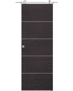 Avanti 4H Black Apricot Barn doors