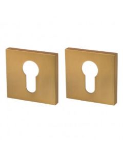COVER PLATES CYLINDER ET USS FSG-39, FLORENTINE GOLD