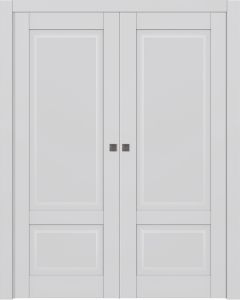 Ca2 Primed Double pocket doors