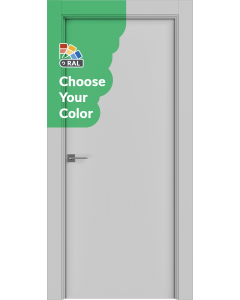 Flush Custom Painted Door
