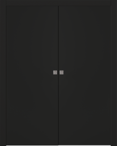 Optima Black Matte Double pocket doors