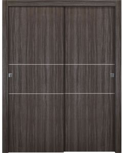 Palladio 2H Gray Oak Bypass doors