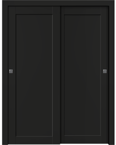 Shaker 1 Panel Black Matte Bypass doors