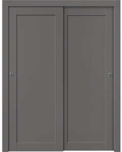 Shaker 1 Panel Gray Matte Bypass doors