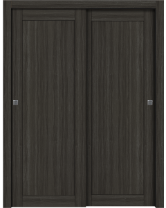 Shaker 1 Panel Gray Oak Bypass doors