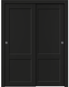 Shaker 2 Panel Black Matte Bypass doors