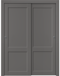 Shaker 2 Panel Gray Matte Bypass doors