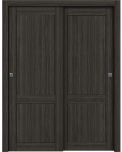 Shaker 2 Panel Gray Oak Bypass doors