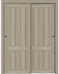 Shaker 2 Panel Shambor Bypass doors