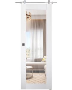 Smart Pro 207 Clear Vetro Polar White Barn doors