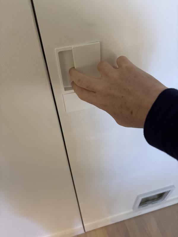 Primed flush