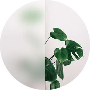 White Frosted Glass